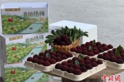 两家人换高速赋能产业升级：一条“杨梅路”的致富密码